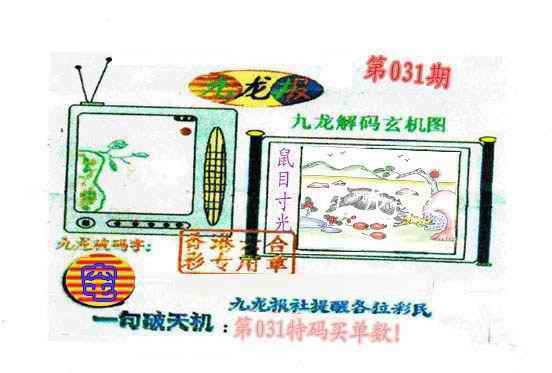 031期九龙报[图]